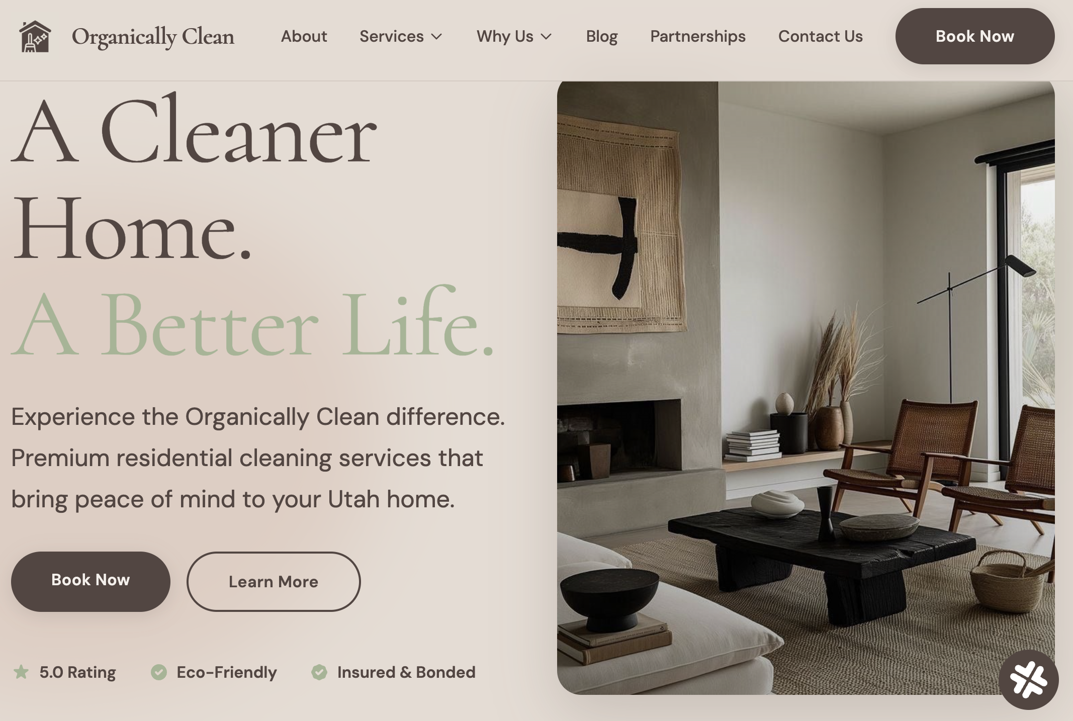 Organically Clean Utah website
